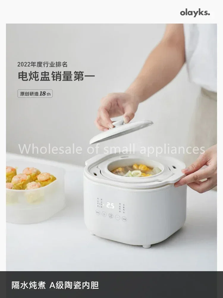 طباخ كهربائي صغير 220 فولت، وع - مراجعة Baby Food Stew وسعره